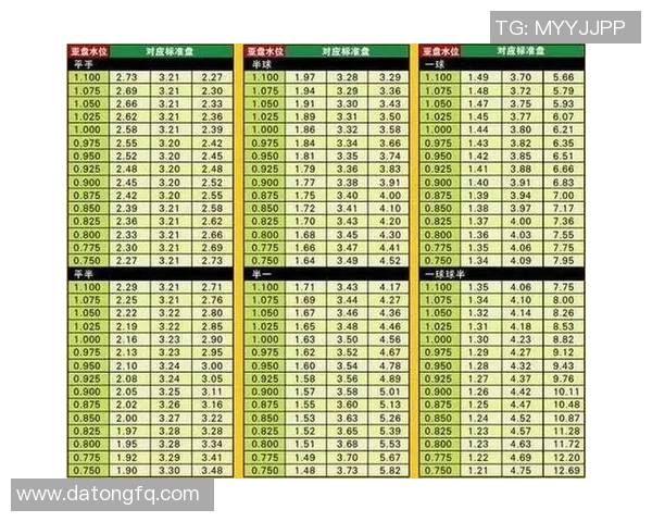 不伦瑞克对阵杜塞多夫比赛分析及比分预测展望 不伦瑞克对阵杜塞多夫比赛分析及比分预测展望